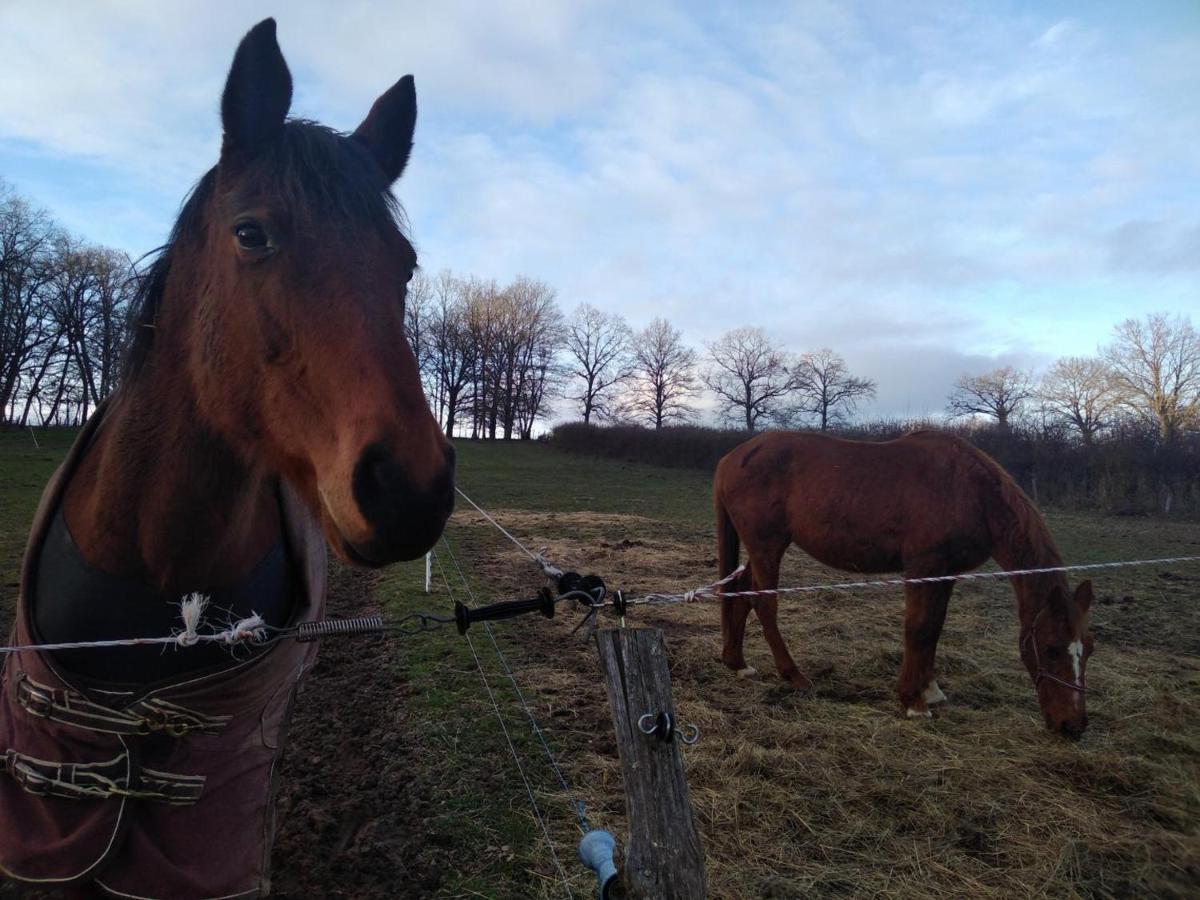 Gîte Sauvagny, 3 pièces, 4 personnes - FR-1-489-13 Esterno foto